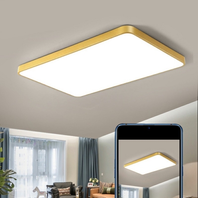 Flushmount Contemporary Style Acrylic Flush Mount Lamps for Living Room Remote Control Intelligence