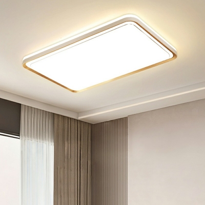 Flush Mount Ceiling Light Modern Style Acrylic Flush Light for Living Room Remote Control Intelligence