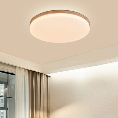 Round Flush Mount Light Modern Style Acrylic Flush Mount Ceiling Light for Living Room