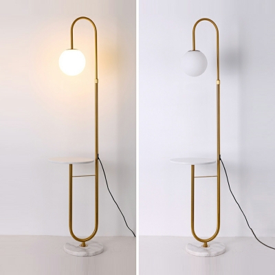 1-Light Standing Lamp Contemporary Style Globe Shape Metal Floor Lights