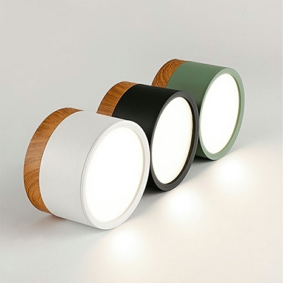 Contemporary Cylinder Flush Mount Ceiling Light Fixtures Acrylic Flush Mount Lamp