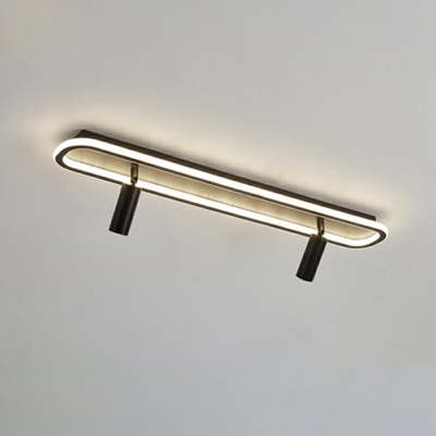 Modern Style Oval Flush Light Fixtures Metal Flush Ceiling Lights with Spot Light