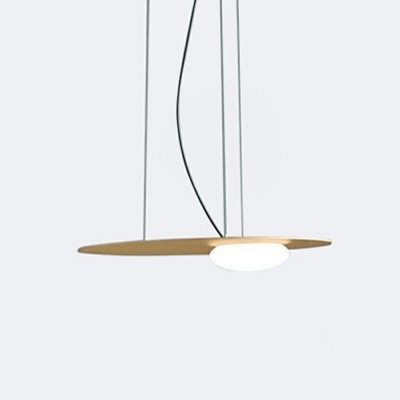Nordic Style Hanging Pendant Lights Modern Metal Hanging Ceiling Light for Living Room