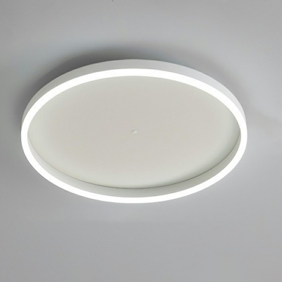 Modern Minimalist Ceiling Iron Nordic Style Acrylic Flushmount Light