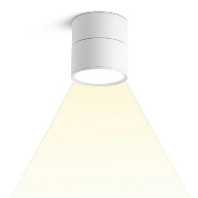 Minimalism Cylinder Flush Mount Ceiling Light Fixtures Metal Flush Mount Lamp