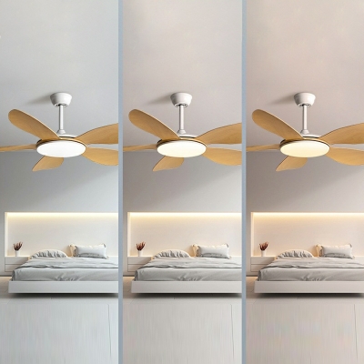 Minimalism Ceiling Fans 52 Inch LED Fan Lighting for Living Room Bedroom
