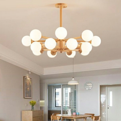 Globe Hanging Light Kit Modern Style Glass Pendant Chandelier for Living Room