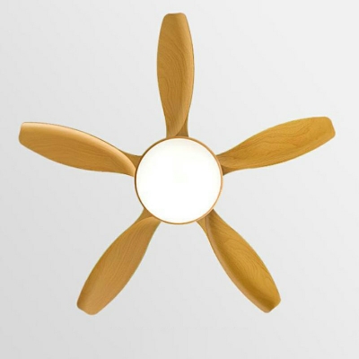 Modern Ceiling Fan with Acrylic Shadde LED Fan Lighting for Living Room