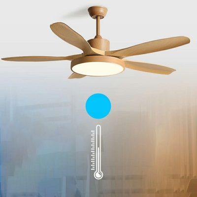 Modern Ceiling Fan with Acrylic Shadde LED Fan Lighting for Living Room