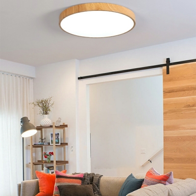 Metal Modern Flush Mount Ceiling Light Fixture LED Ceiling Mount Light Fixture for Living Room