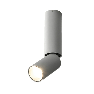 Cylinder Shape Flush Mount Lighting Fixture LED Metal Flush Mount Lamp