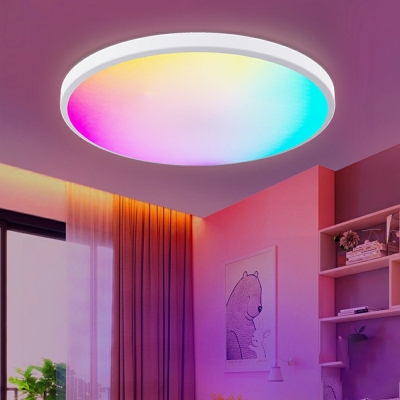 LED Smart Flush Mount Ceiling Chandelier Modern Minimalism Ceiling Mounted Fixture for Living Room