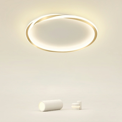 1-Light Flush Light Fixtures Minimalistic Style Round Shape Metal Ceiling Mounted Lights