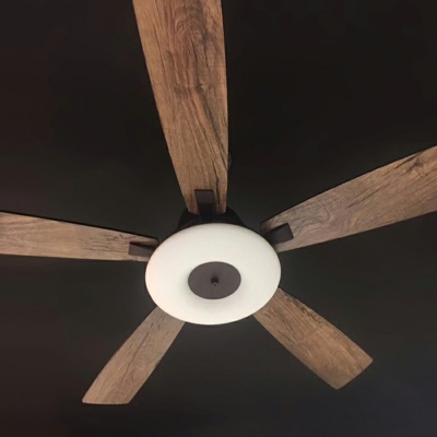 1-Light Hanging Lamp Kit Contemporary Style Fan Shape Metal Pendant Light Fixture