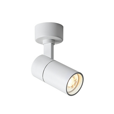 Aluminum Flush Mount Lighting Cylinder Shape Led Flush Mount Light Fixture