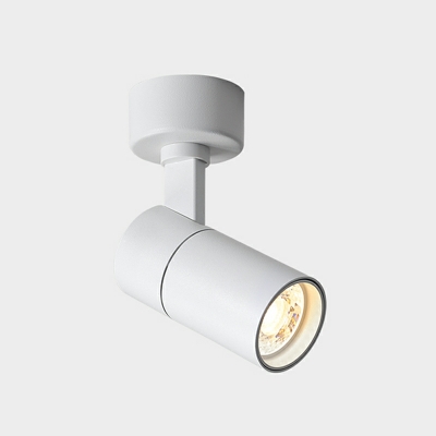 Aluminum Flush Mount Lighting Cylinder Shape Led Flush Mount Light Fixture