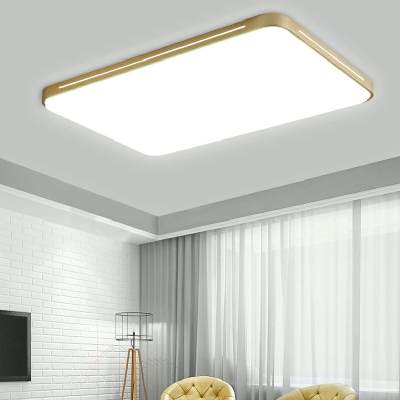 1 Light Flush Light Fixtures Modern Style Geometric Shape Metal Ceiling Mounted Lights