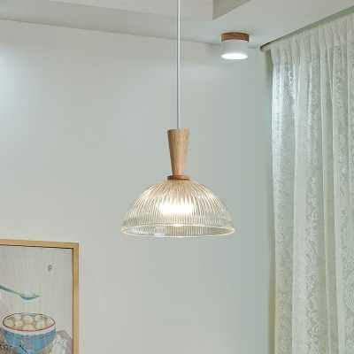 Dome Ceiling Lamps Contemporary Style Glass Suspension Light for Living Room
