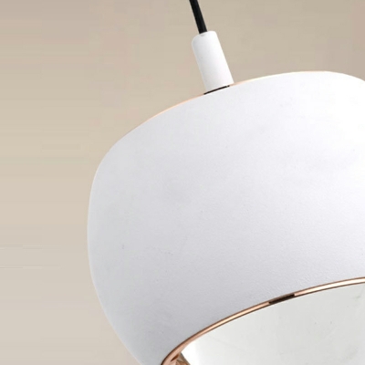1-Light Suspension Pendant Modern Style Globe Shape Metal Hanging Lights