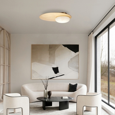Oval Flush Light Modern Style Glass Flush Mount Light for Living Room