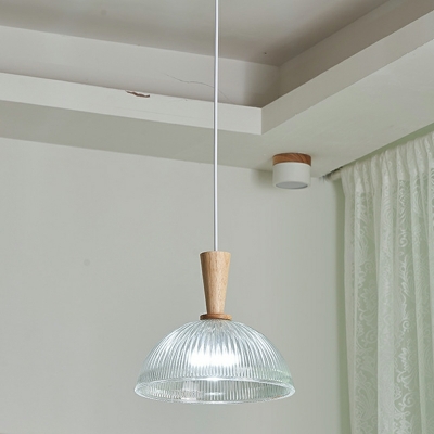 Dome Ceiling Lamps Contemporary Style Glass Suspension Light for Living Room