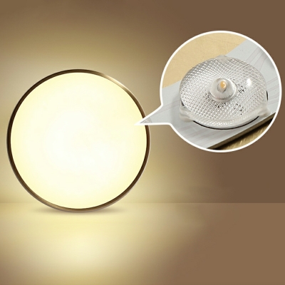 1-Light Flush Mount Lighting Fixtures Minimalist Style Round Shape Metal Ceiling Mounted Lights