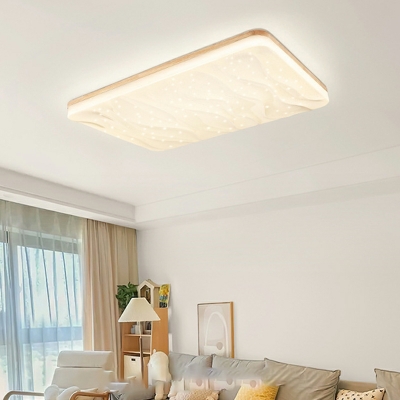 Modern Simple Ceiling Light Acrylic Flush Mount Lighting for Living Room