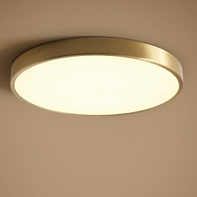 1-Light Flush Mount Lighting Fixtures Minimalist Style Round Shape Metal Ceiling Mounted Lights