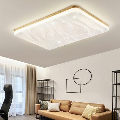 Modern Simple Ceiling Light Acrylic Flush Mount Lighting for Living Room