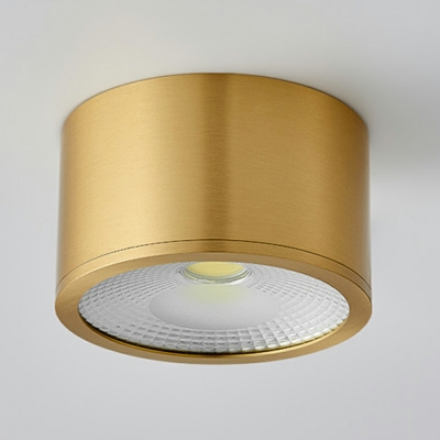 Nordic Simple Cylindrical Ceiling Lamp Creative Metal Ceiling Lamp for Entrance
