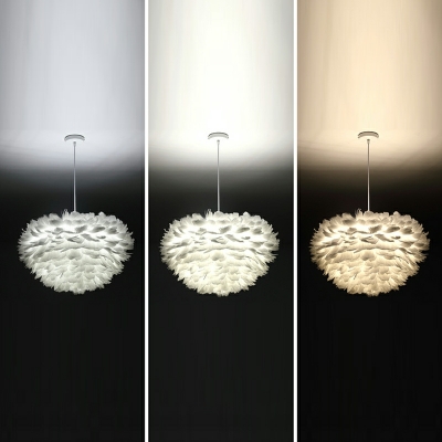 5 Light Hanging Light Fixtures Modernist Style Feather Shape Metal Chandelier Lighting