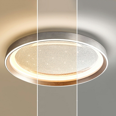 Modern Minimalist LED Ceiling Lamp Creative Shining Star Ceiling Light Fixture