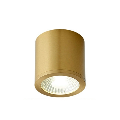 Nordic Simple Cylindrical Ceiling Lamp Creative Metal Ceiling Lamp for Entrance