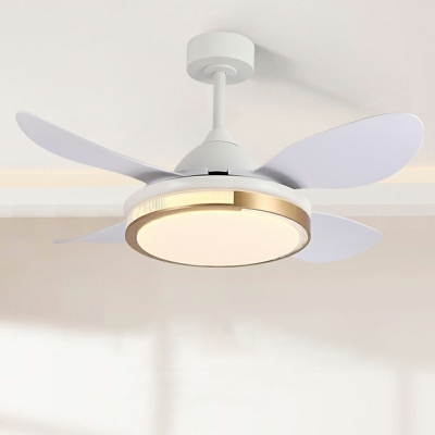 Contemporary Flush Mount Fan Lamps Acrylic Shade Flushmount Fan
