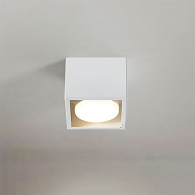 2 Light Flush Light Fixtures Modernist Style Rectangle Shape Metal Ceiling Mounted Lights