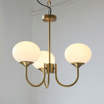 5 Light Pendant Light Fixtures Modern Style Oval Shape Metal Hanging Chandelier