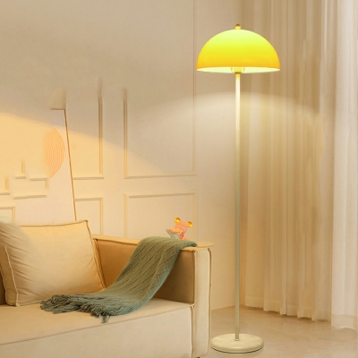 Dome Standard Lamps Modern Style Acrylic Floor Lamps for Bedroom