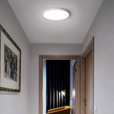 1 Light Ceiling Lamp Minimalism Style Round Shape Metal Flush Chandelier Lighting