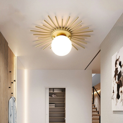 1 Light Ceiling Lamp Contemporary Style Globe Shape Metal Flush Mount Fixture
