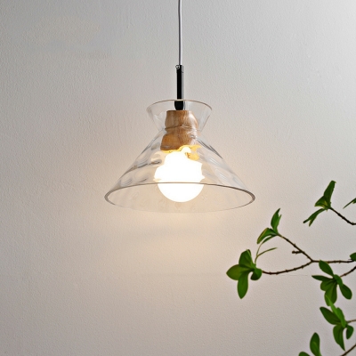 Nordic Minimalist Wood Art Single Pendant Modern Creative Transparent Glass Hanging Lamp