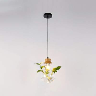 Industrial Creative Glass Hanging Lamp Personalized Water Plant Hanging Lamp,without Plants