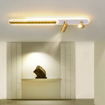 4 Light Minimalist Style Oval Shape Metal Flush Mount Lighting Fixtures