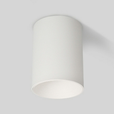 Cylindrical Ceiling Mount Light Fixture Minimalism Basic for Living Room