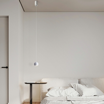 Metal Globe Hanging Pendnant Lamp Simplicity LED for Dinning Room
