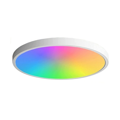 RGB Lighting Simple Thin Flushmount Ceiling Light for Living Room and Bedroom