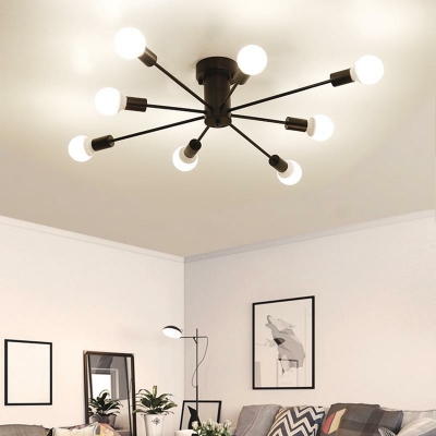 Industrial Style Simple Bulb Ceiling Lamp in Black for Dining Room and Bedroom