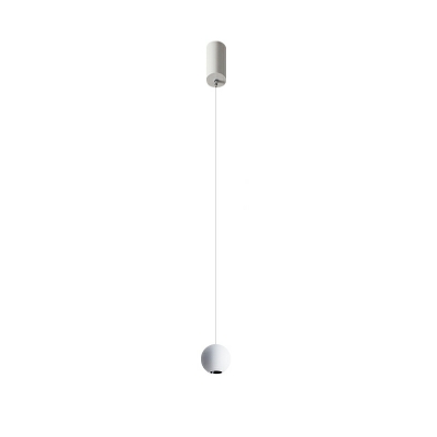 LED Hanging Pendnant Lamp Simplicity Metal Globe for Dinning Room