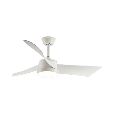 Contemporary Style Ceiling Fans Lighting for Bedroom and Living Room