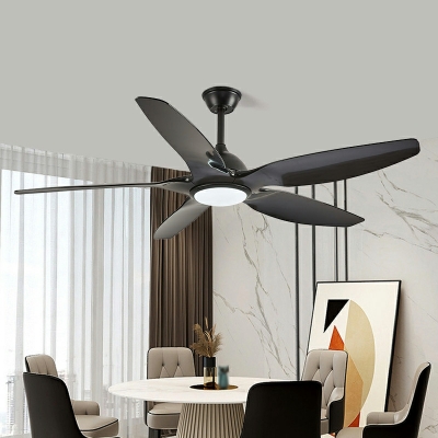 Modern Simple Acrylic Creative Ceiling Fans Light for Living Room