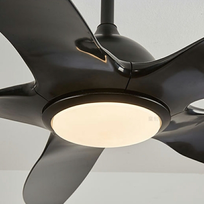 Modern Simple Acrylic Creative Ceiling Fans Light for Living Room